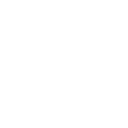 NG Freelance